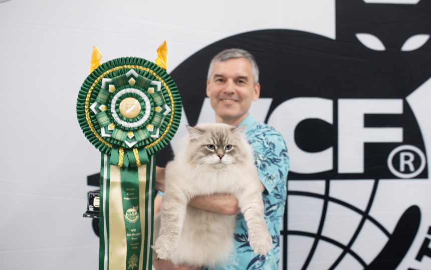 wmc-catshow-03