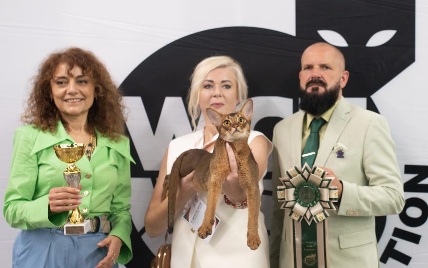 wmc-catshow-11