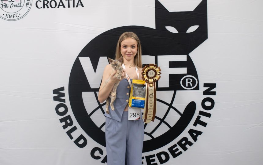 wmc-catshow-14