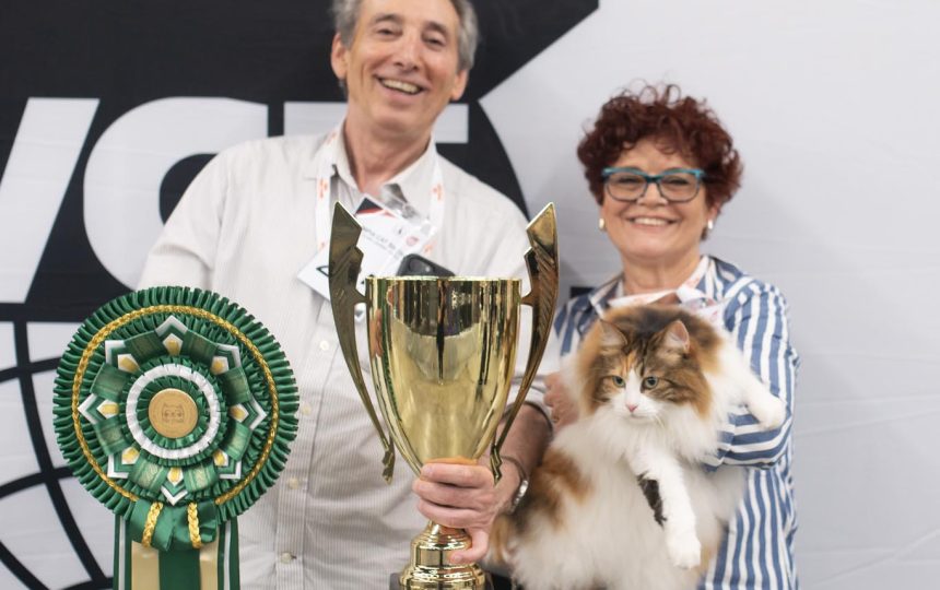 wmc-catshow-16