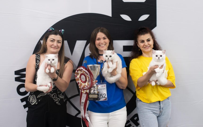 wmc-catshow-18