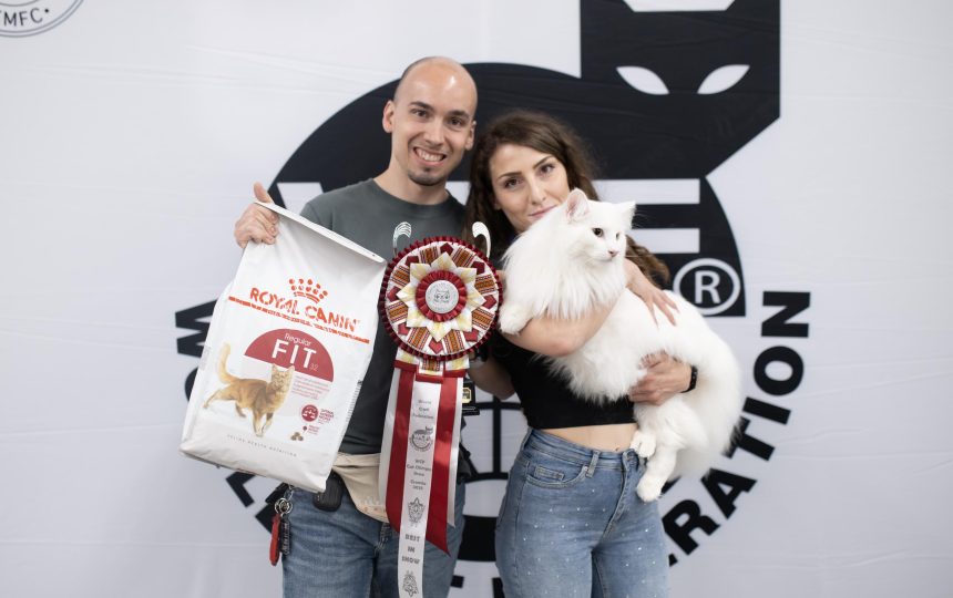 wmc-catshow-35