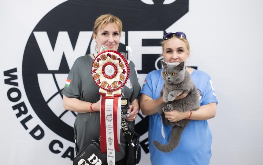 wmc-catshow-39
