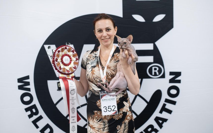 wmc-catshow-42
