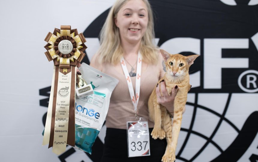 wmc-catshow-43