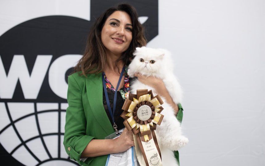 wmc-catshow-46