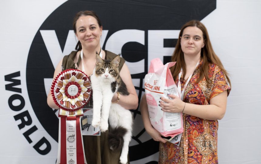 wmc-catshow-47