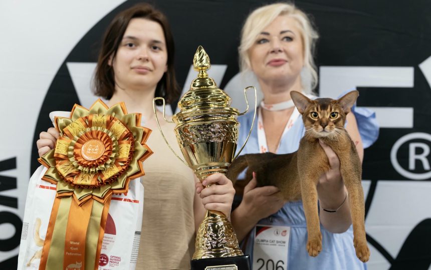 wmc-catshow-53