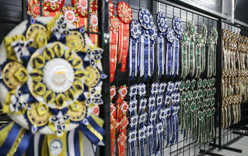 wmc-catshow-55
