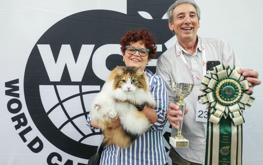 wmc-catshow-57