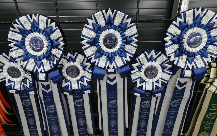 wmc-catshow-60