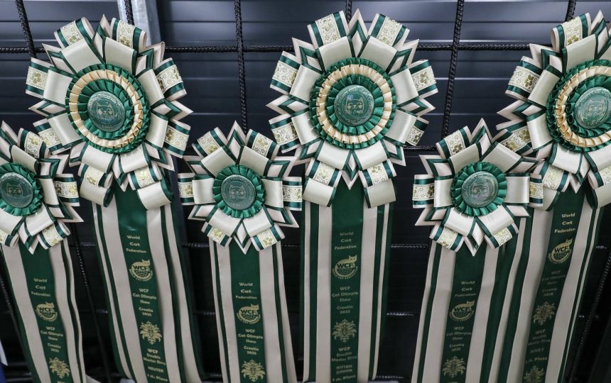 wmc-catshow-61