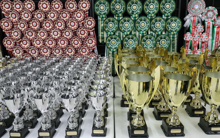 wmc-catshow-65
