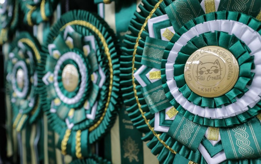 wmc-catshow-70