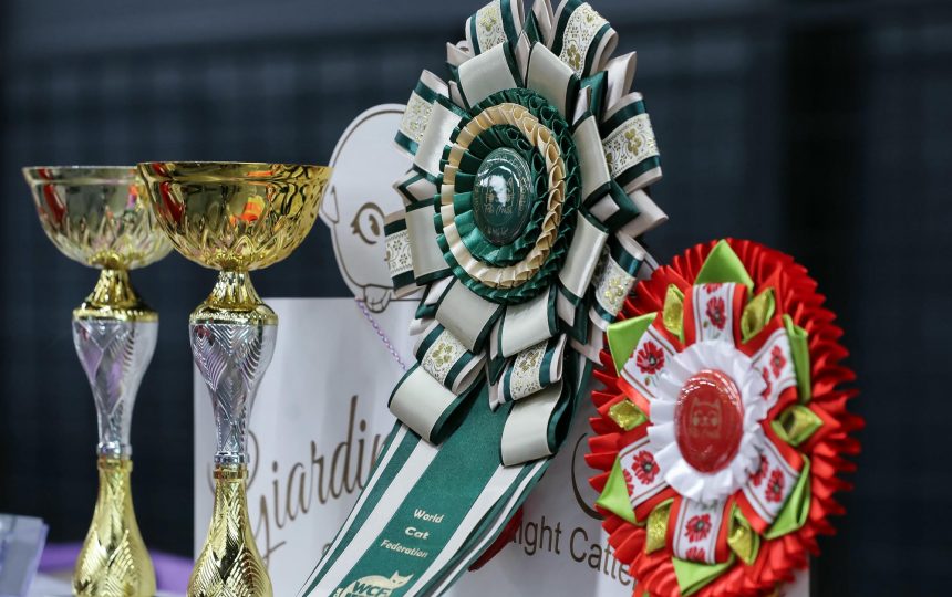 wmc-catshow-76